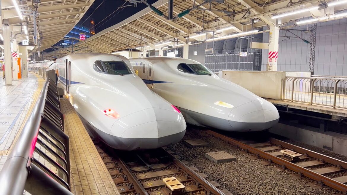 【Izumo→Tokyo】Travel 1000km a day on the limited express『Yakumo』and『Shinkansen』|Eat bone-in chicken 【Izumo→Tokyo】Travel 1000km a day on the limited express『Yakumo』and『Shinkansen』|Eat bone-in chicken