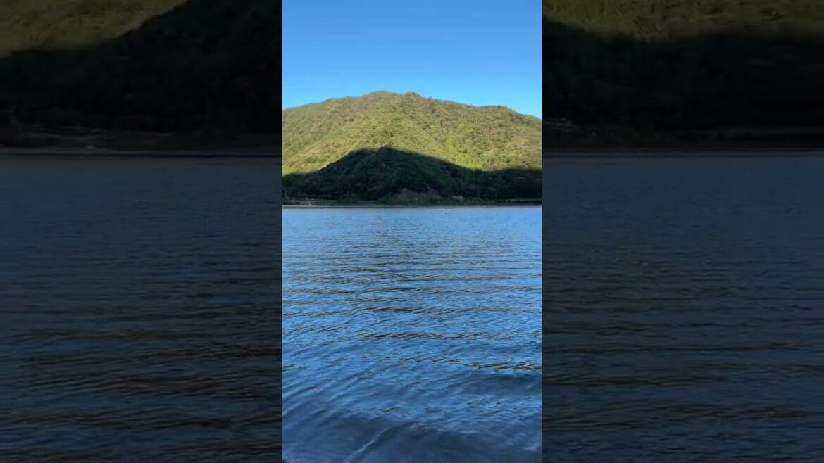 精進湖 / Lake Shojiko (Shorts) -- 富士山 / Mt. Fuji (2023/10/5)