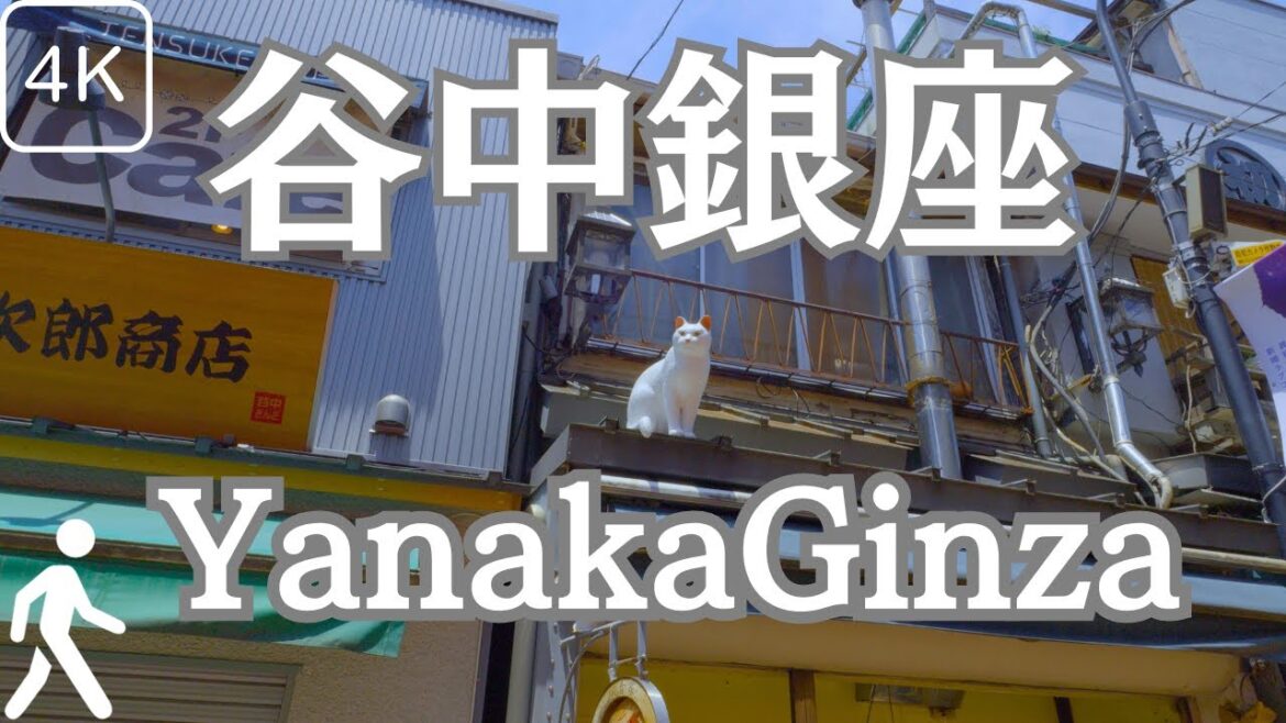 【4K Japan Tokyo】Yanaka Ginza Walking Tour: Retro Shopping Street for Eating and Walking 【4K Japan Tokyo】Yanaka Ginza Walking Tour: Retro Shopping Street for Eating and Walking