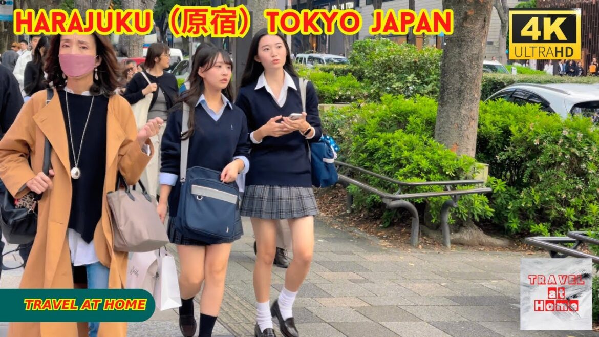 4k hdr japan travel | Walk in Harajuku(原宿)Tokyo japan | Relaxing Natural City ambience 4k hdr japan travel | Walk in Harajuku(原宿)Tokyo japan | Relaxing Natural City ambience
