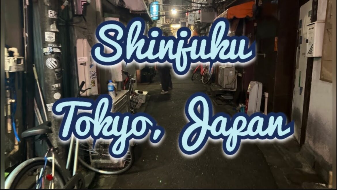 Mini-tour por Shinjuku, Tokyo: vistas de la ciudad y distrito de ocio. Nightlife Tokyo Japan HD vlog