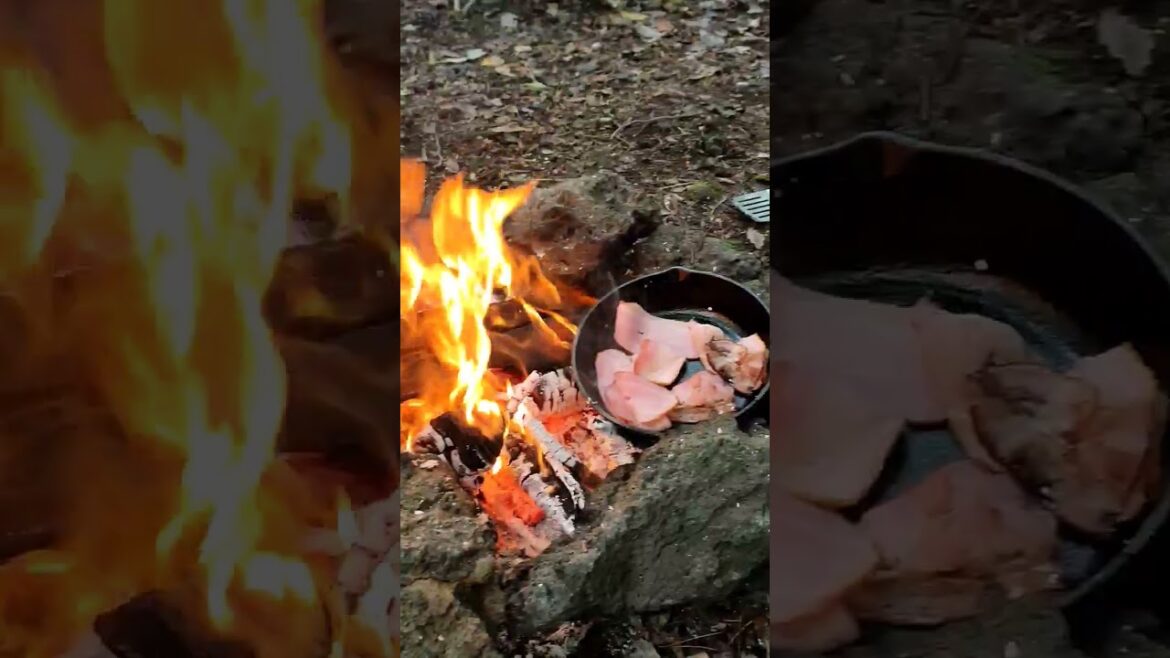 🍳🌭🔥 First time camping! #japan #travel #fyp