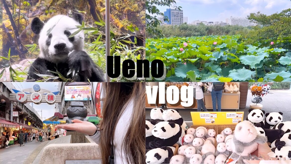 【女ひとり旅】昼から飲むのが当たり前な町!上野、アメ横でひとり歩きしたらパンダに癒された🥰 【女ひとり旅】昼から飲むのが当たり前な町!上野、アメ横でひとり歩きしたらパンダに癒された🥰