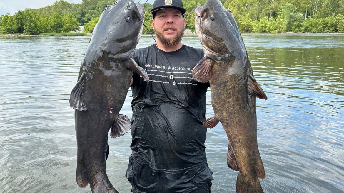 CATCHING GIANT CATFISH BY HAND!! NOODLING FOR RIVER MONSTERS IN WEST VIRGINIA!! CATCHING GIANT CATFISH BY HAND!! NOODLING FOR RIVER MONSTERS IN WEST VIRGINIA!!