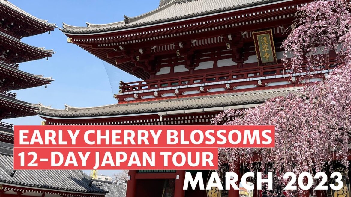 Early Cherry Blossom 12-day Japan Tour: March 2023 Early Cherry Blossom 12-day Japan Tour: March 2023