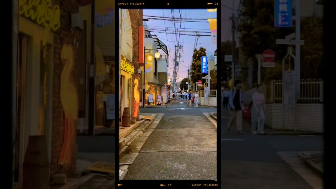 Late summer in Tokyo #tokyo #japan #travel #traveling #adventure #explore #japantravel #japanvlog Late summer in Tokyo #tokyo #japan #travel #traveling #adventure #explore #japantravel #japanvlog