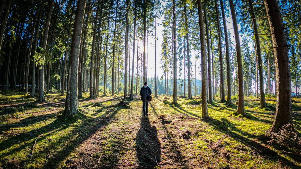 GoPro - 3 months with Hero 9 / 4k60 / Romania