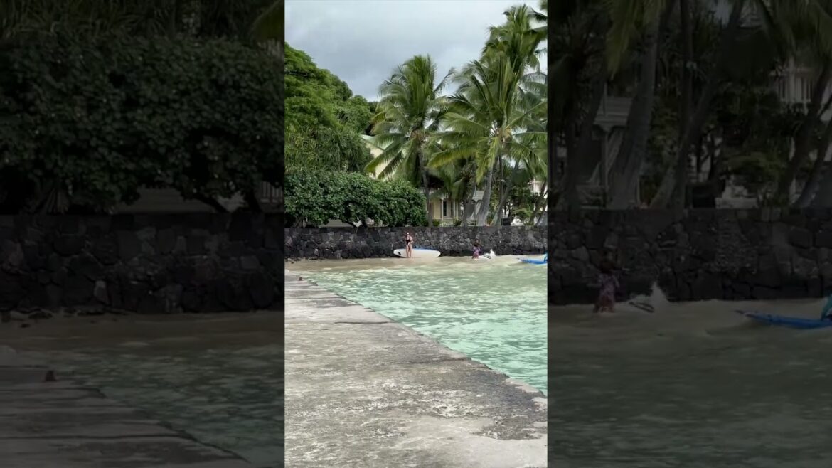 Ever heard of A King Tide? Ever heard of A King Tide?