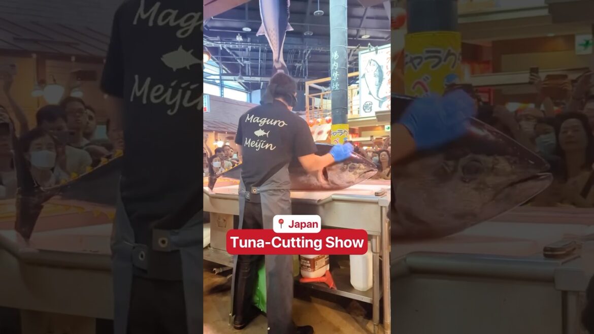 🐟TUNA MASTER CHEF #japantravel #japanthings #tokyotravel #tunacutting 🐟TUNA MASTER CHEF #japantravel #japanthings #tokyotravel #tunacutting
