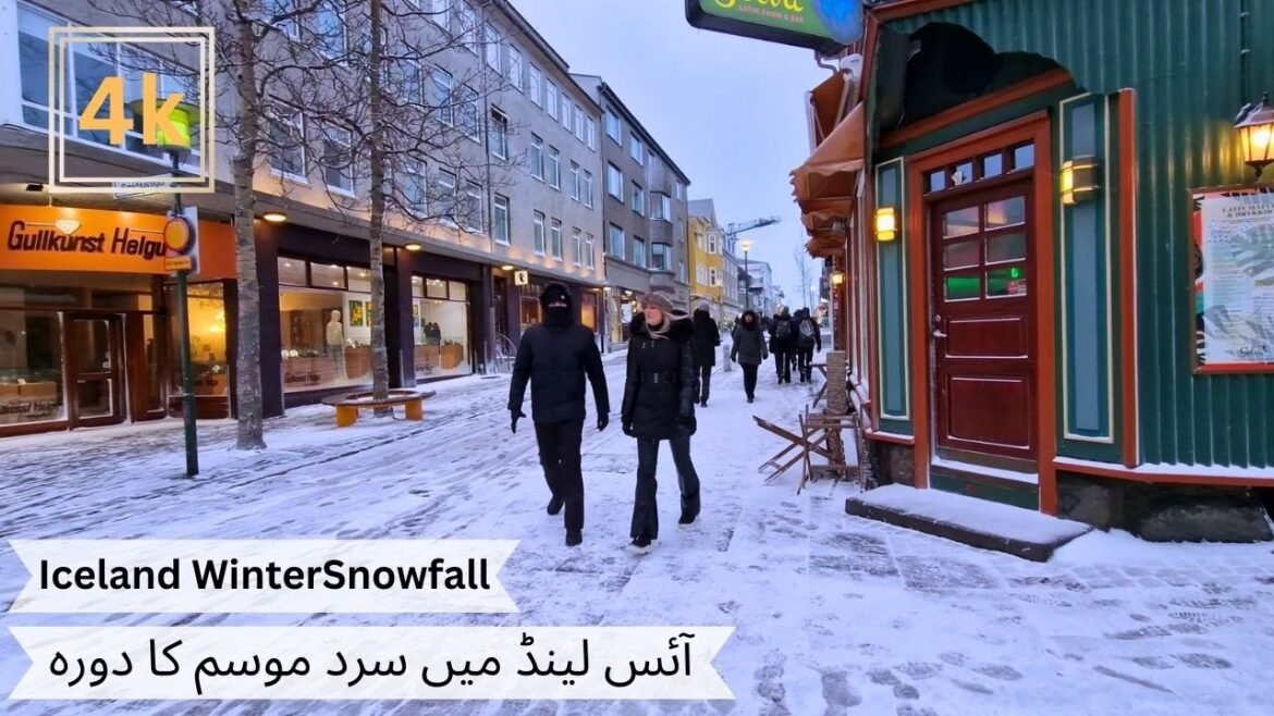Heavy Snowfall Hits Reykjavik! Walking In The Froze Of The Year, 4k #iceland Heavy Snowfall Hits Reykjavik! Walking In The Froze Of The Year, 4k #iceland