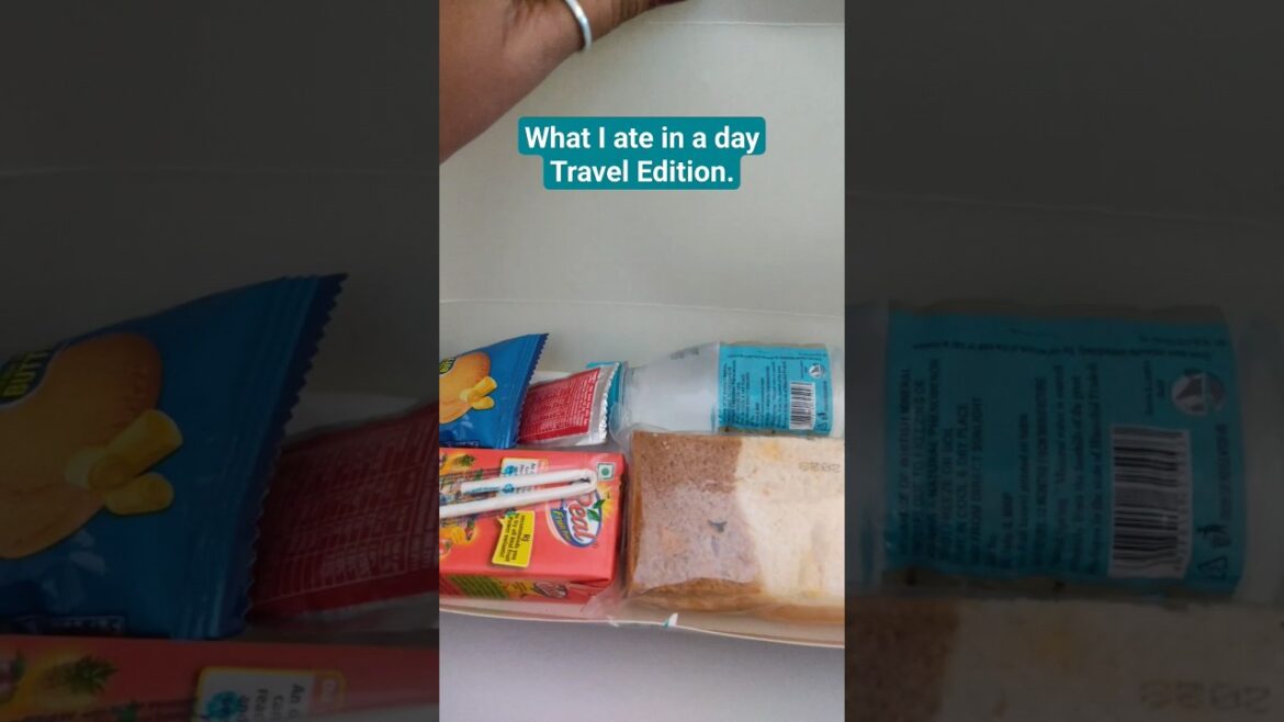 What I ate in a Day on Travel (Indian Airlines) 🥪🧃🍪 What I Eat in a day #vlog#shorts#whatieatinaday