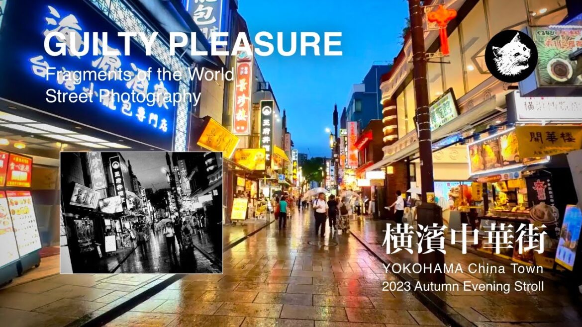 Yokohama Chinatown stroll | GUILTY PLEASURE 4 | Street Photography | 横浜中華街