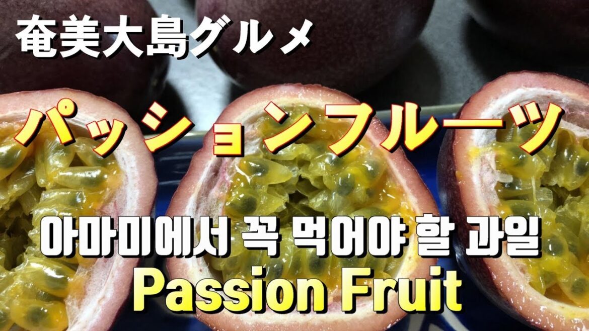 パッションフルーツ, Passion Fruit, 패션후르츠 in Amami パッションフルーツ, Passion Fruit, 패션후르츠 in Amami