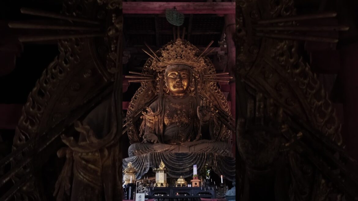 Todai-ji temple Nara #nara #kyoto #japan #japanese #temple #travel #buddha #todaiji #japantravel