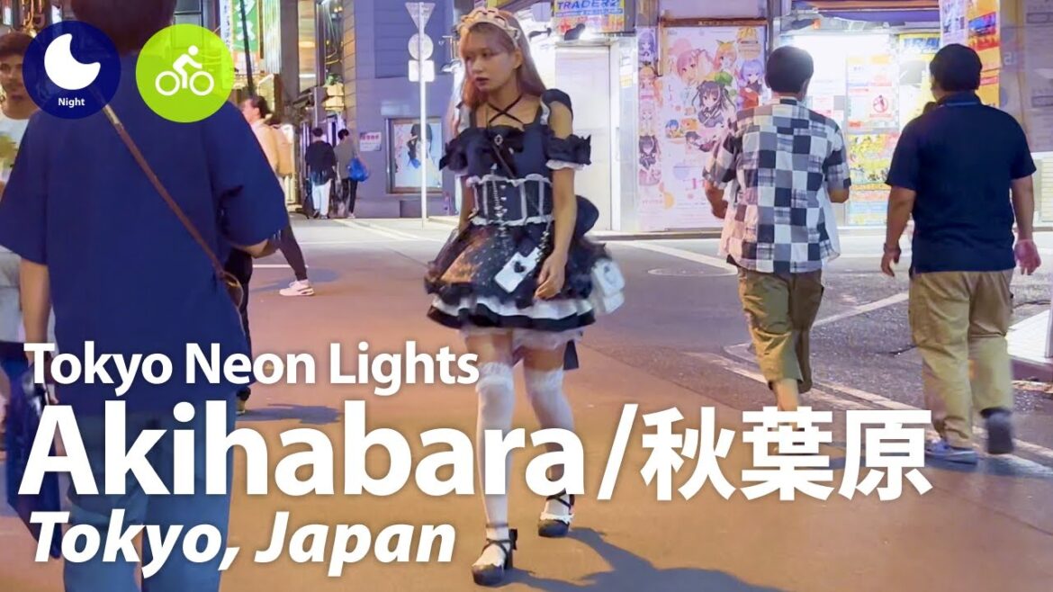 ⁴ᴷ Tokyo: Akihabara Station (秋葉原駅) – Japan Walking & Cycling Tour (September, 2023) Street Ambience ⁴ᴷ Tokyo: Akihabara Station (秋葉原駅) - Japan Walking & Cycling Tour (September, 2023) Street Ambience