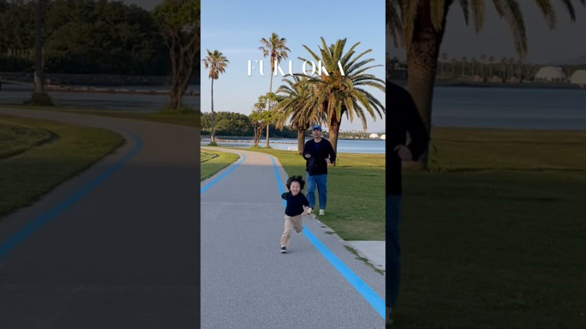 어린이에게 천국 후쿠오카 우미노나카미치 해변공원💗 #fukuoka #우미노나카미치 #후쿠오카릴스