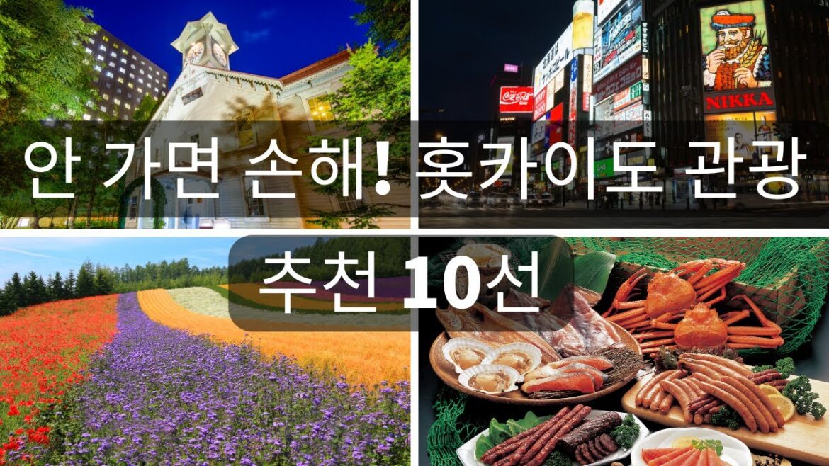 【일본인이 알려주는】일본홋카이도여행가이드 일본인이 가르치는!  안 가면 손해! 100% 만족할 수 있는 홋카이도 관광 10선