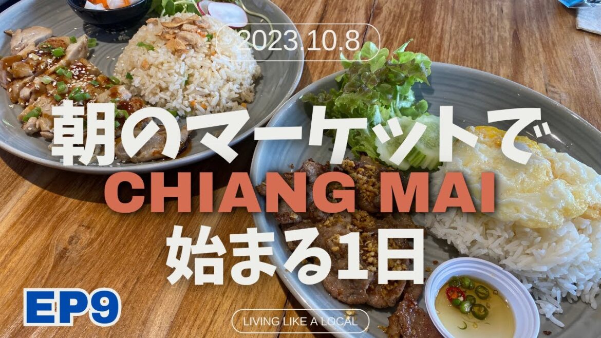 【Thailand life 🇹🇭 タイ生活 EP9】朝のマーケットから始まる1日!のんびりした休日のチェンマイライフ!|チェンマイ日常生活| 【Thailand life 🇹🇭 タイ生活 EP9】朝のマーケットから始まる1日!のんびりした休日のチェンマイライフ!|チェンマイ日常生活|