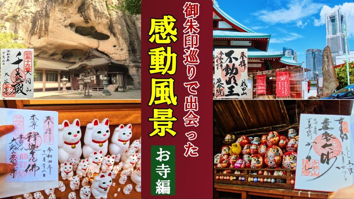 【御朱印ベスト】御朱印巡りで見つけたお寺の感動風景[日本の神社仏閣旅]