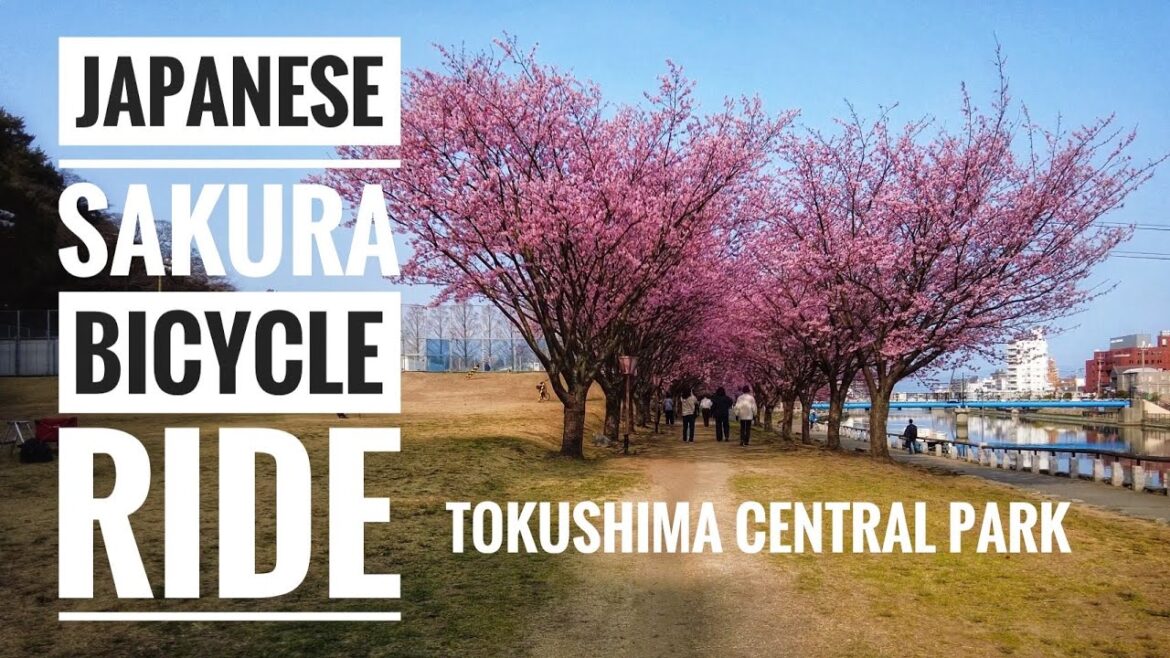 HD Japan Cycling Tour 🚴🌸 Relaxing & Chill Morning Gravel Bike Ride Through Tokushima Central Park