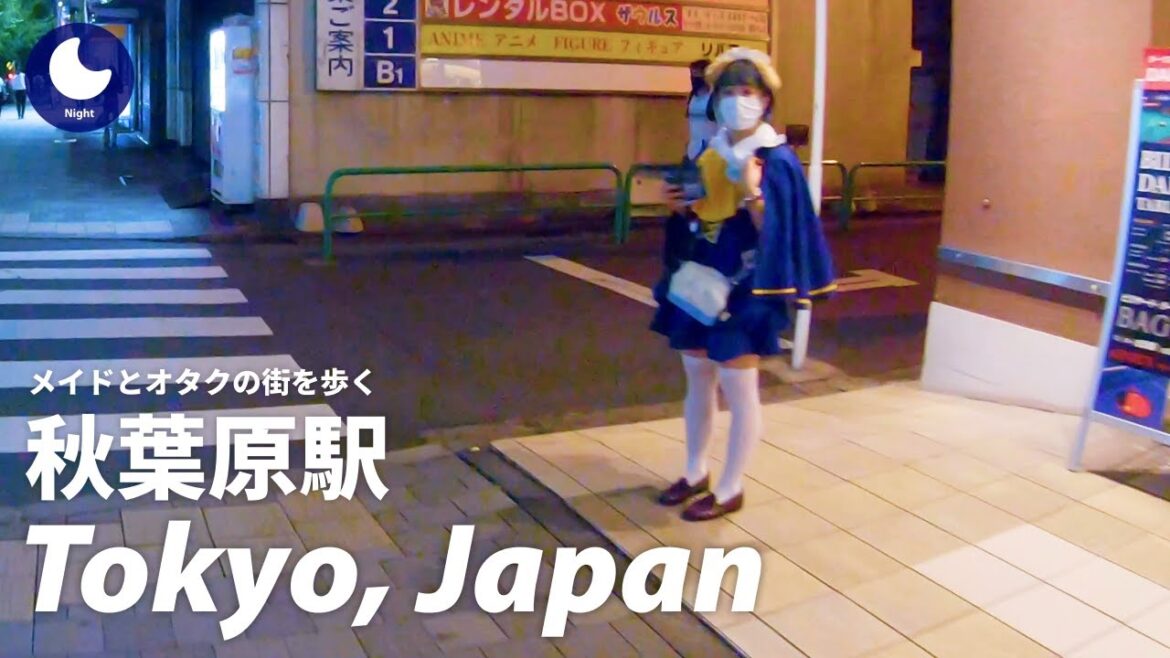 ⁴ᴷ Tokyo: Akihabara Station (秋葉原駅) - Japan Walking Tour 2020
