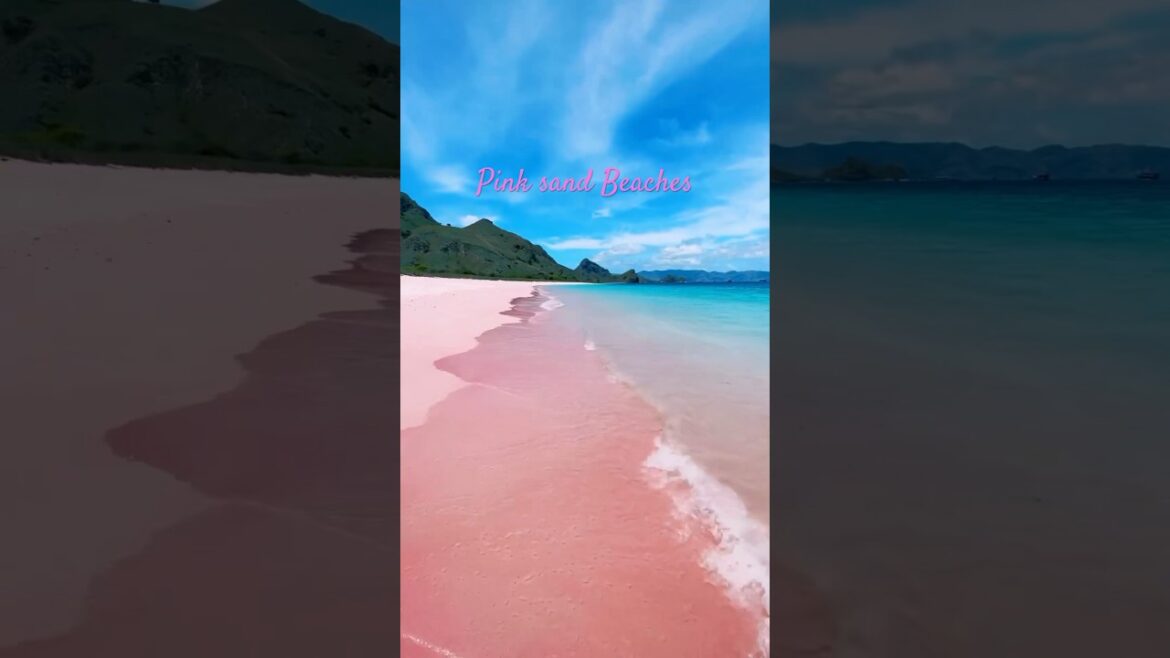 Pink Beach at Komodo Island, Indonesia 🇮🇩😍 #travel #vacation