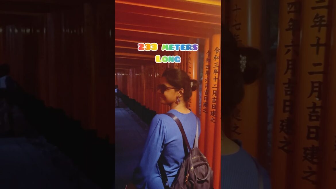 💥🤯Japan-ல 10,000 gates -ஆ இப்பவே கண்ண கட்டுதே..💢#shorts#japan#travel#tamil#trending#shortsfeed 💥🤯Japan-ல 10,000 gates -ஆ இப்பவே கண்ண கட்டுதே..💢#shorts#japan#travel#tamil#trending#shortsfeed