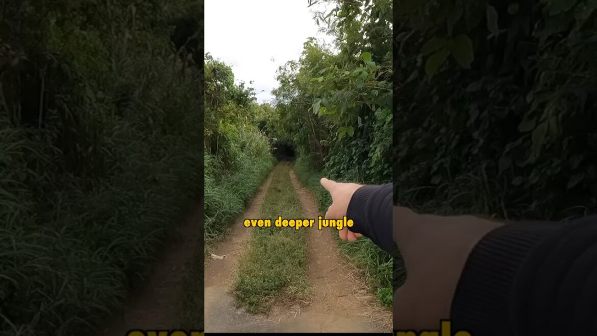 Weird Hike to Hidden Spot Okinawa! 🇯🇵