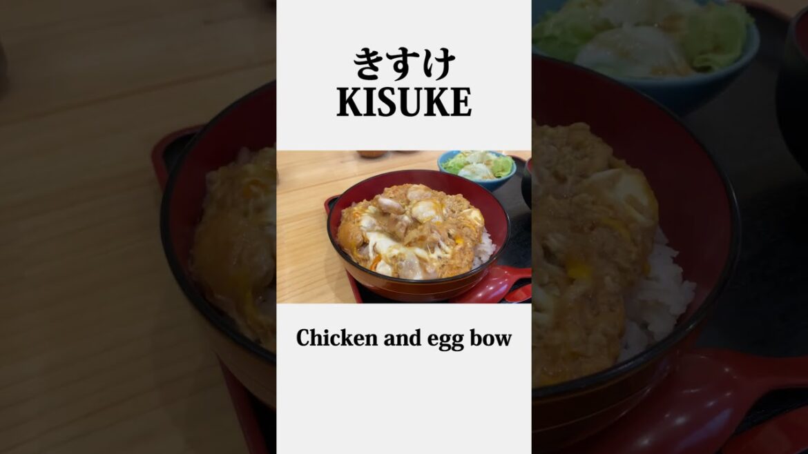 |Tokyo’s universally acclaimed No.1 Oyakodon|Japanese Food【親子丼 赤坂】ぷるぷるっ 路地裏の絶品親子丼 誰もが認める都内No.1の親子丼 |Tokyo's universally acclaimed No.1 Oyakodon|Japanese Food【親子丼 赤坂】ぷるぷるっ 路地裏の絶品親子丼 誰もが認める都内No.1の親子丼