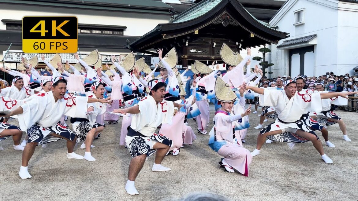 Japanese Traditional Dance on the Longest Street | Tenjin Tenma Awa Dance Festival Japanese Traditional Dance on the Longest Street | Tenjin Tenma Awa Dance Festival