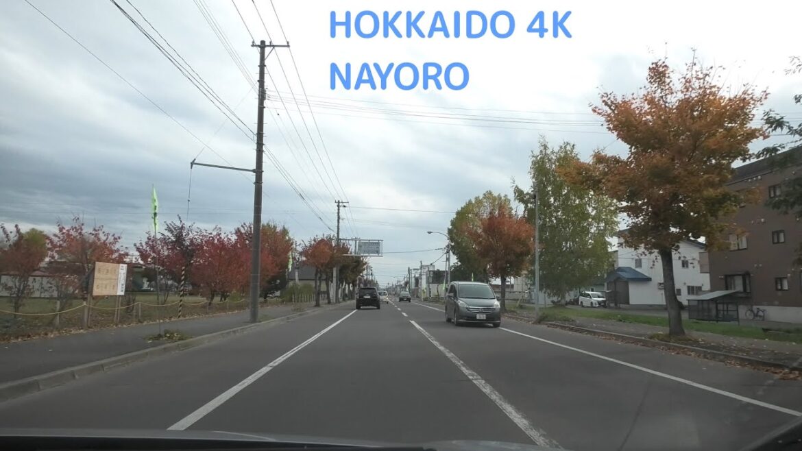 昭和通 [ #名寄市 4K/30p 車載動画 全線ドライブ]：道道939号交点～国道40号交点 Japan Drive Hokkaido Nayoro city road