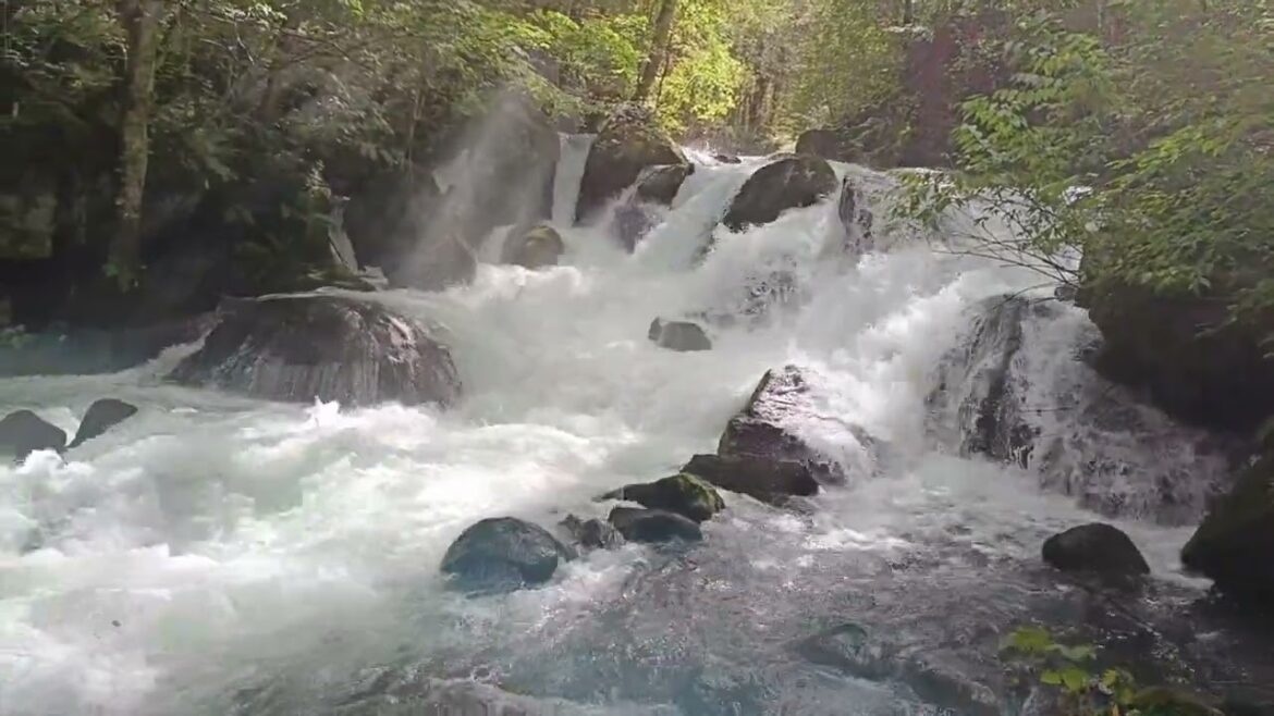 Japan Autumn 2023 Day 9 – Oirase Gorge Japan Autumn 2023 Day 9 - Oirase Gorge