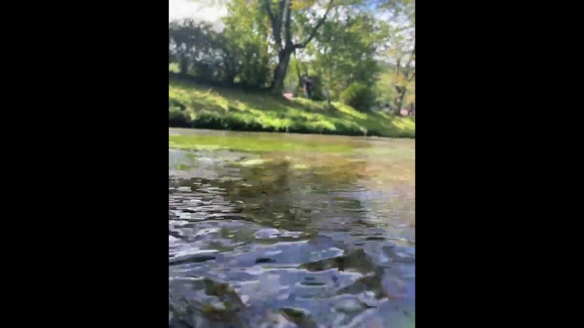 【JAPAN】Good View at Oshinohakkai - Healing sounds