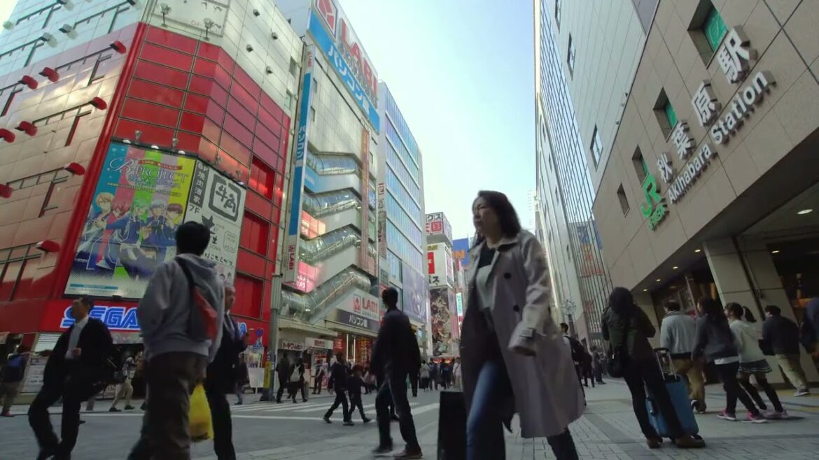 Tokyo Unveiled: Top 3 Must See Spots for 2023