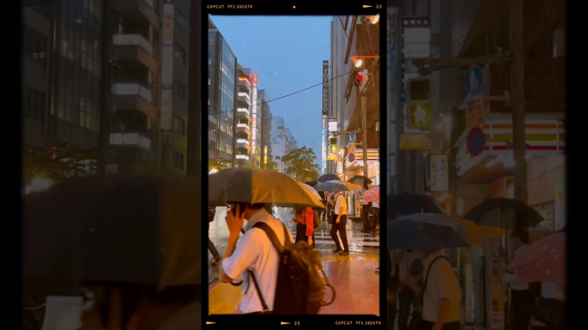 Late summer in Tokyo #tokyo #japan #travel #traveling #adventure #explore #japantravel #japanvlog Late summer in Tokyo #tokyo #japan #travel #traveling #adventure #explore #japantravel #japanvlog