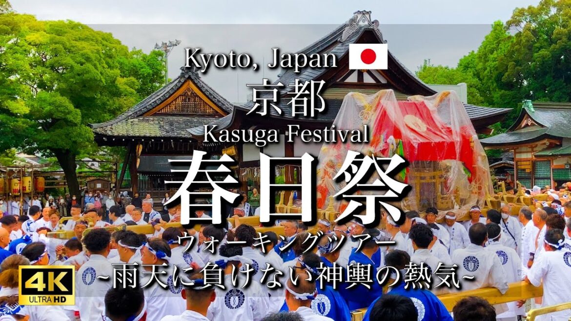[京都|Kyoto] 西院春日神社の"春日祭"｜雨に負けない熱気の神輿巡幸｜Kasuga Shrine Festival(Vlog)[4K]