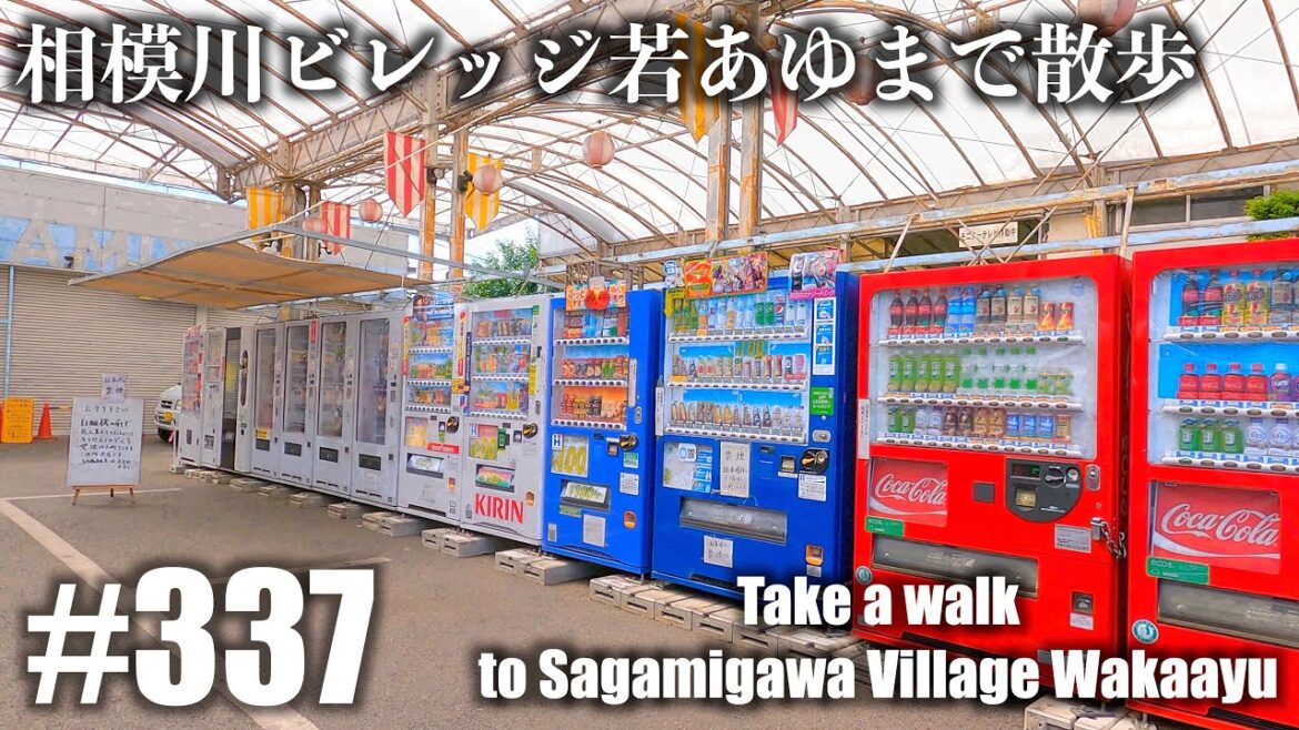 No.337【4K】相模川ビレッジ若あゆまで散歩しました（相模原市緑区大島）
