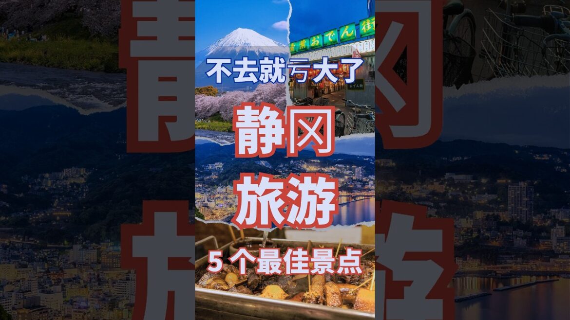 【日本人指南】日本 5 个静冈旅游推荐 一定要去 观光景点 #shorts #short 【日本人指南】日本 5 个静冈旅游推荐 一定要去 观光景点 #shorts #short