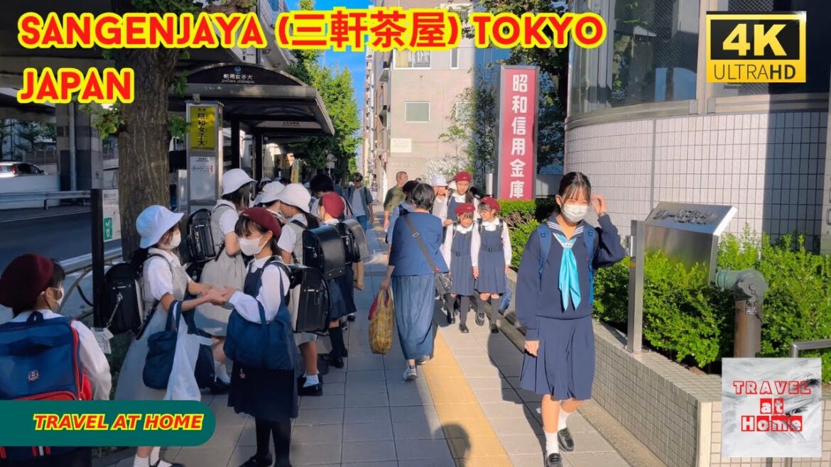 4k hdr japan travel | Walk in Sangenjaya (三軒茶屋) Tokyo japan | Relaxing Natural City ambience 4k hdr japan travel | Walk in Sangenjaya (三軒茶屋) Tokyo japan | Relaxing Natural City ambience