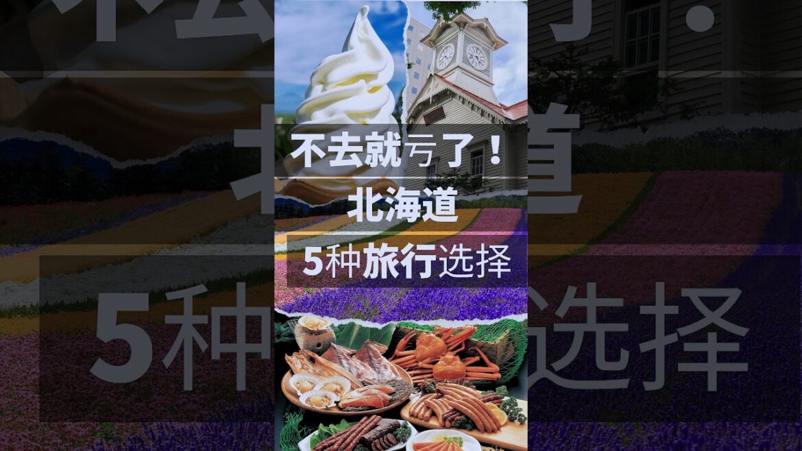 日本北海道旅游指南『日本人的教学』日本北海道旅游 5　#short #shorts #短篇