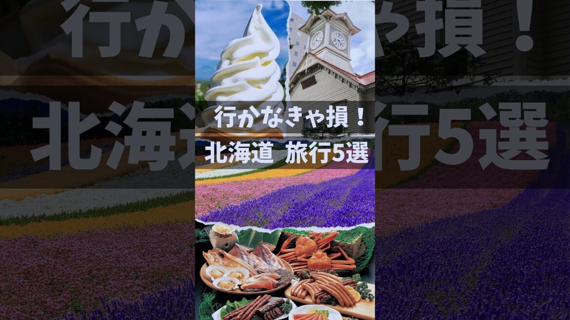 北海道旅行 おすすめ5選 北海道観光 #shorts #short 北海道旅行 おすすめ5選 北海道観光 #shorts #short
