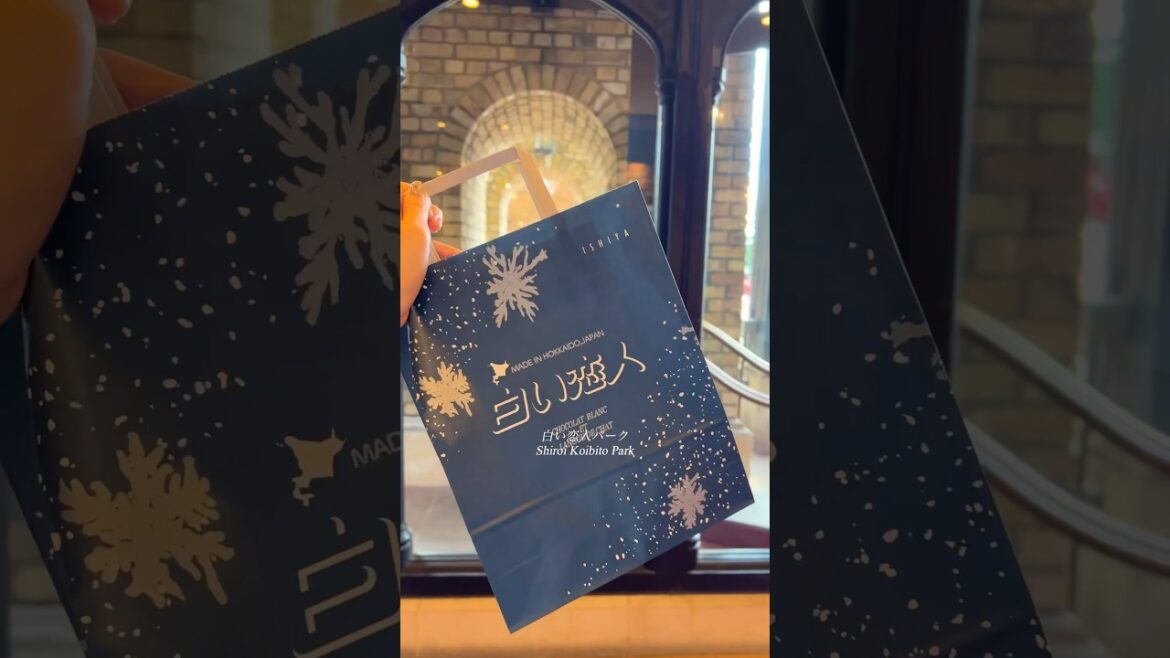 【白い恋人パーク】北海道へ旅行vlog おすすめスポット/ Hokkaido Shiroikoibitopark #short 【白い恋人パーク】北海道へ旅行vlog おすすめスポット/ Hokkaido Shiroikoibitopark #short