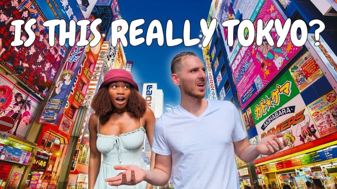 We can’t believe THIS is TOKYO! Shibuya vs Shinjuku We can't believe THIS is TOKYO! Shibuya vs Shinjuku