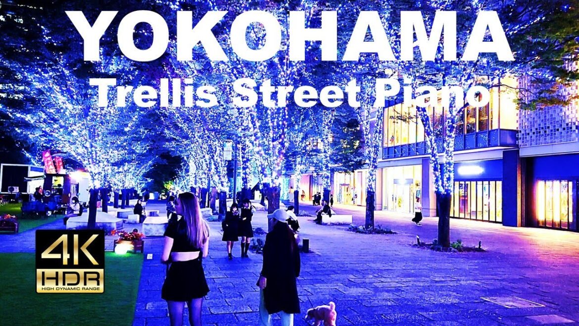 【4K HDR🇯🇵】Walking around the fantastic Yokohama Milaight 2023 “Street Piano” area 【4K HDR🇯🇵】Walking around the fantastic Yokohama Milaight 2023 "Street Piano" area