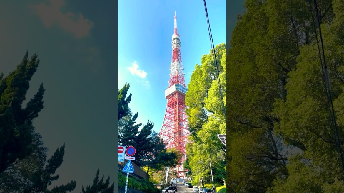 🇯🇵Tokyo Tower, a landmark building in #Tokyo #travel #travelvlog #japan #trending #shorts #viral
