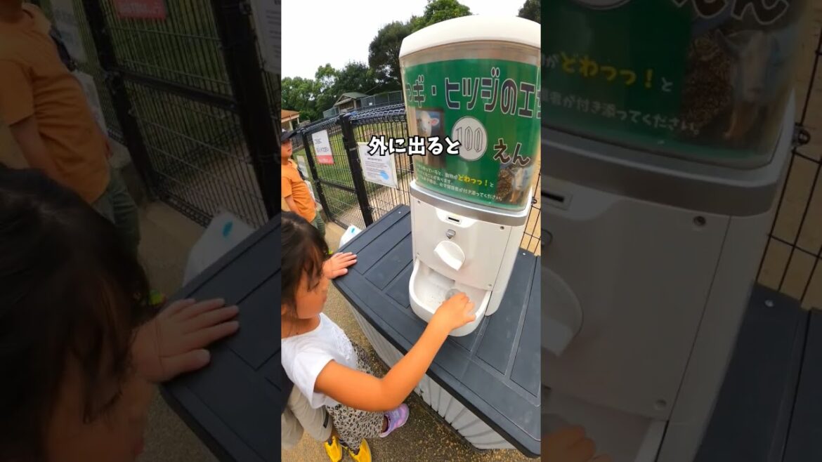 【長崎観光】圧巻の大型ネット遊具★あぐりの丘は最高の遊び場だったよ♪ #shorts