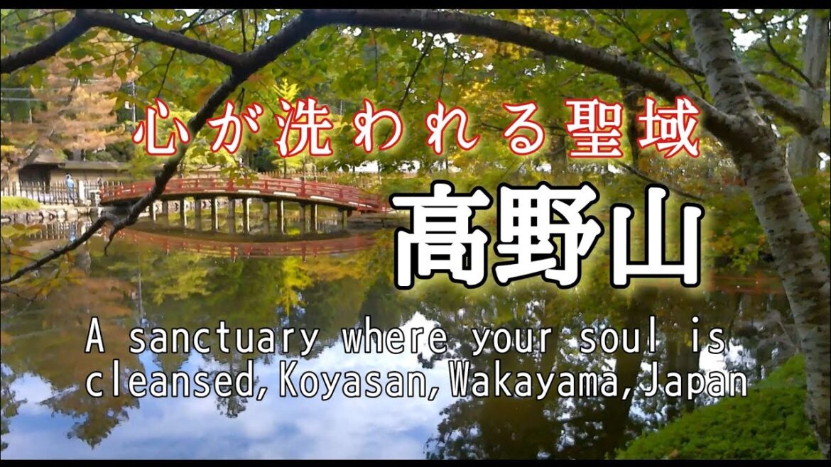 【高野山壇上伽藍参拝】：パワースポット：和歌山県：[Visiting Koyasan Danjo Garan] :Power spot: Wakayama Japan