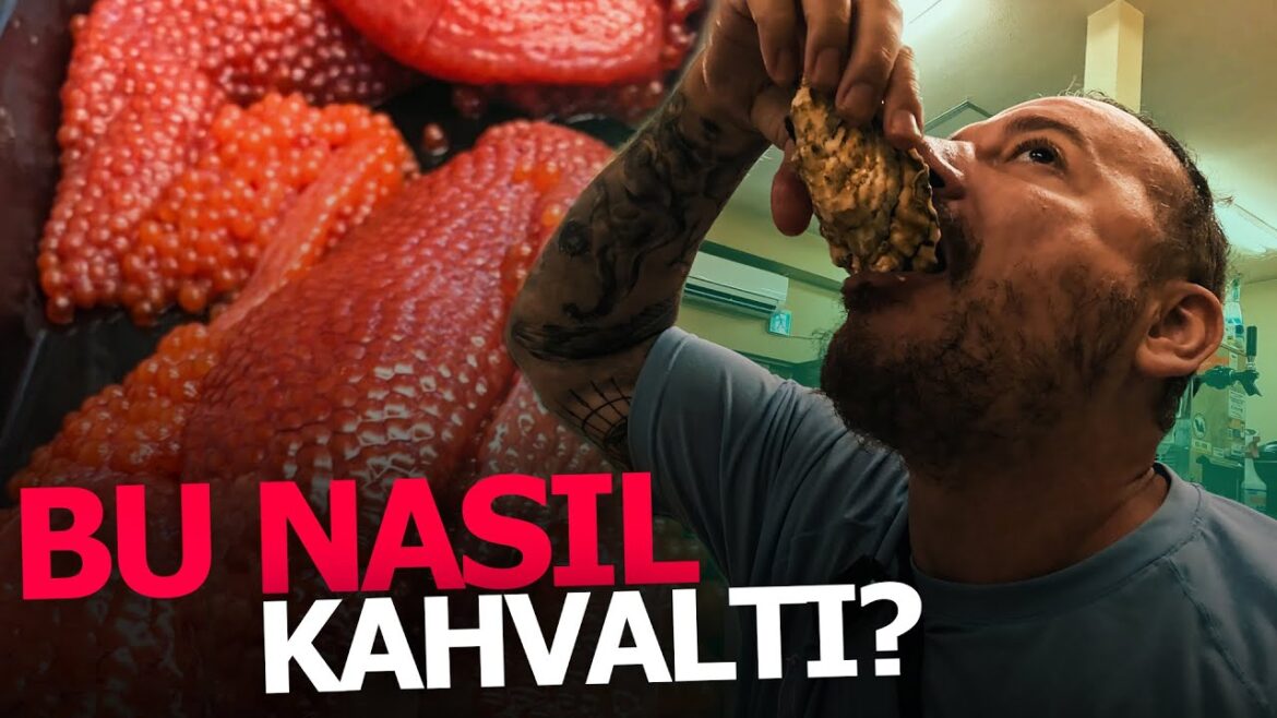 Japonya’nın En Kuzeyi | Sapporo – Hokkaido Japonya'nın En Kuzeyi | Sapporo - Hokkaido