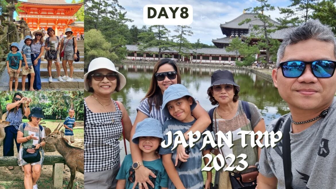 ANG AAMO NG MGA DEER SA NARA PARK, KYOTO/ANG LAYAS NA LOLA/ Pinay Lola