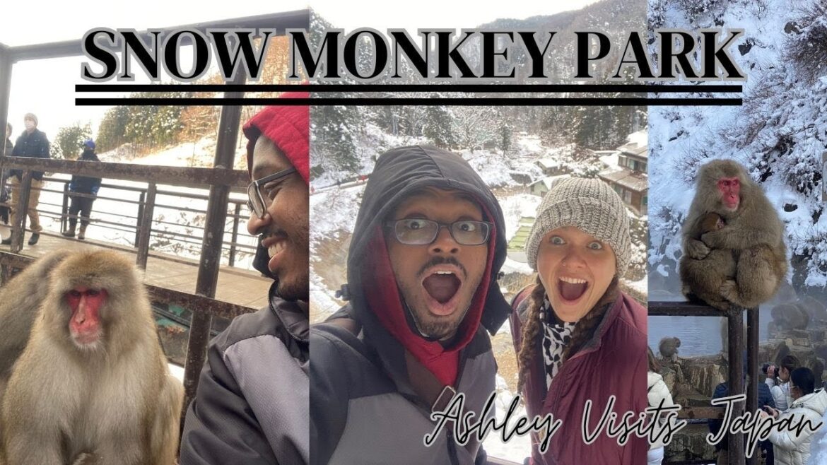 Snow Monkey (Jigokudani ) Park - Shibu Onsen- Ashley Visits Japan Part 5